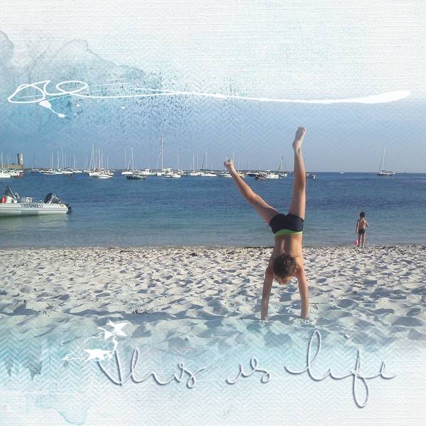 Journée aux iles Glénan