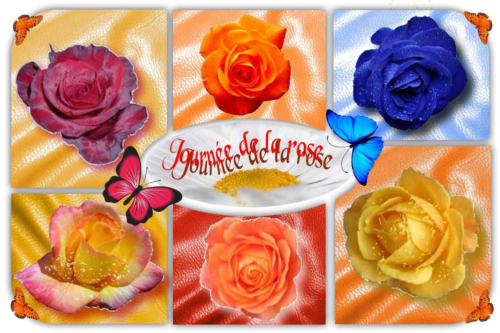 journée de la rose