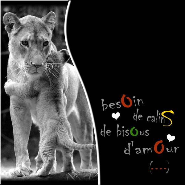 journée des câlins.........