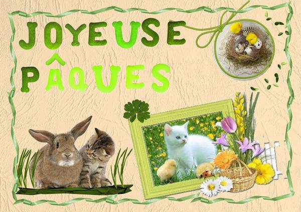 Joyeuse_P__ques