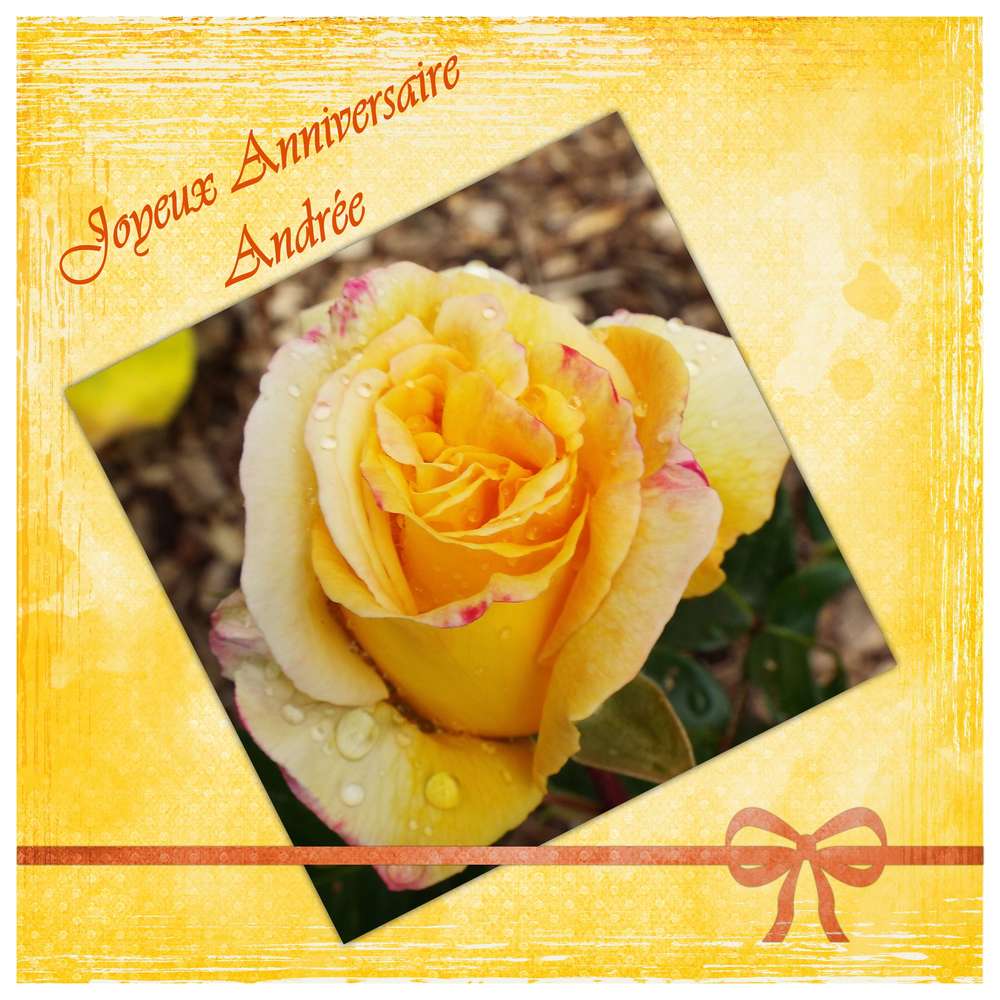 Joyeux Anniversaire andrée
