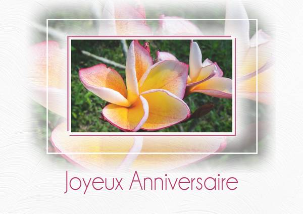 JOYEUX ANNIVERSAIRE - BERENICE