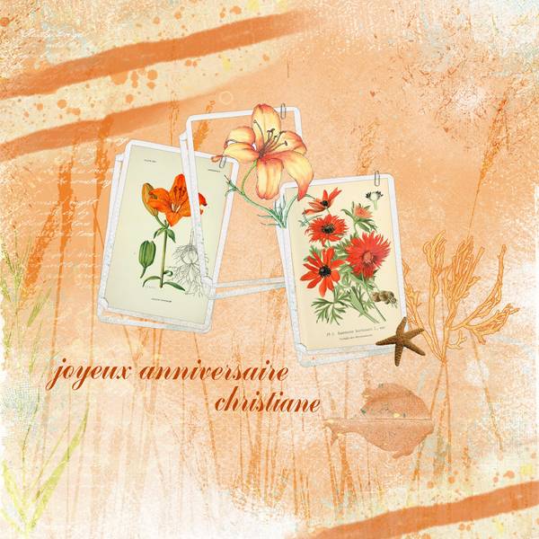 JOYEUX ANNIVERSAIRE christiane