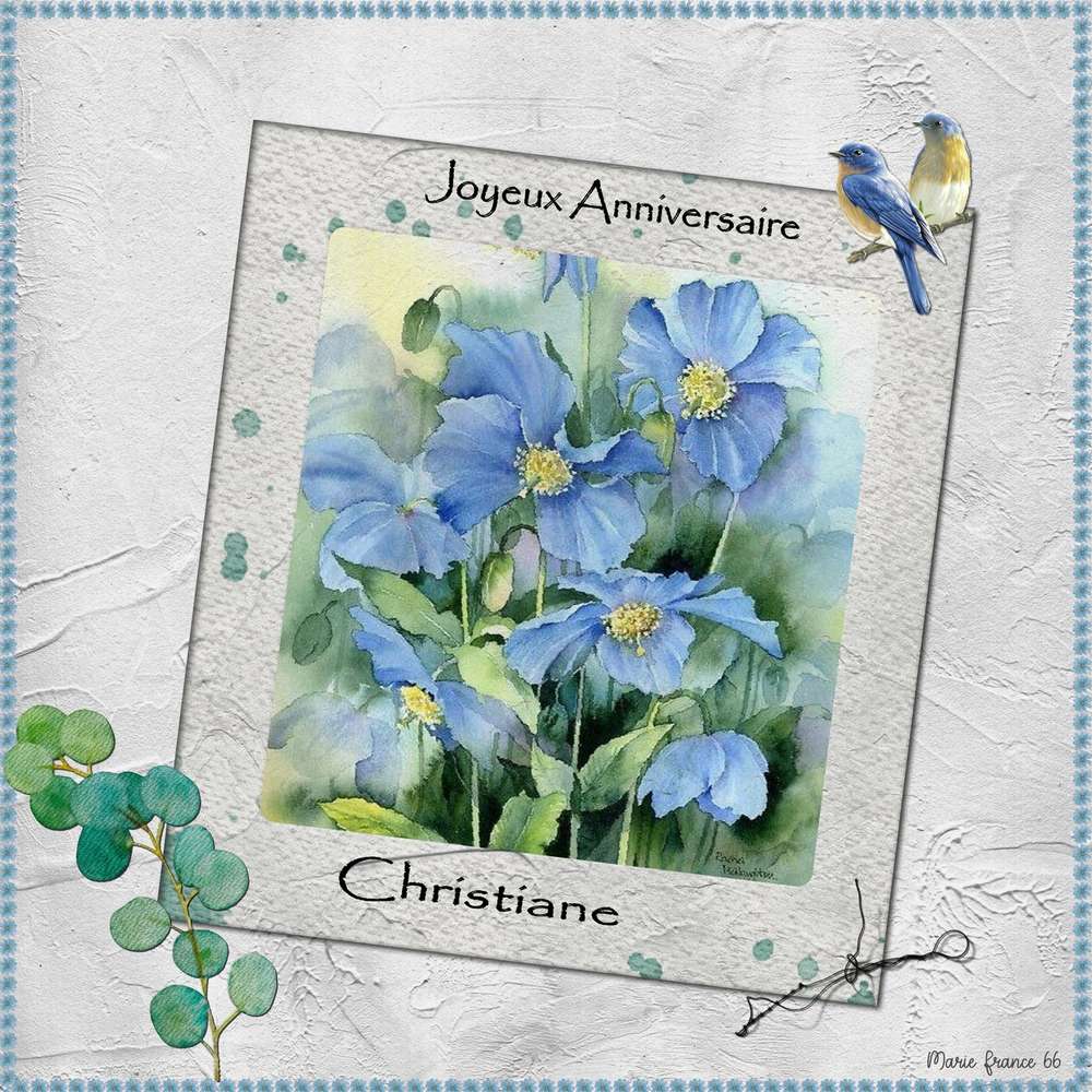 Joyeux Anniversaire Christiane