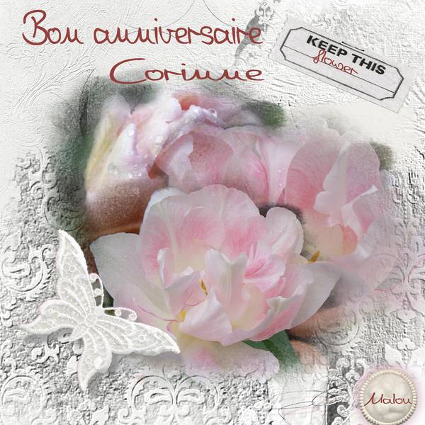 Joyeux Anniversaire Corinne Corinnecha Forum Le Monde Du Scrap