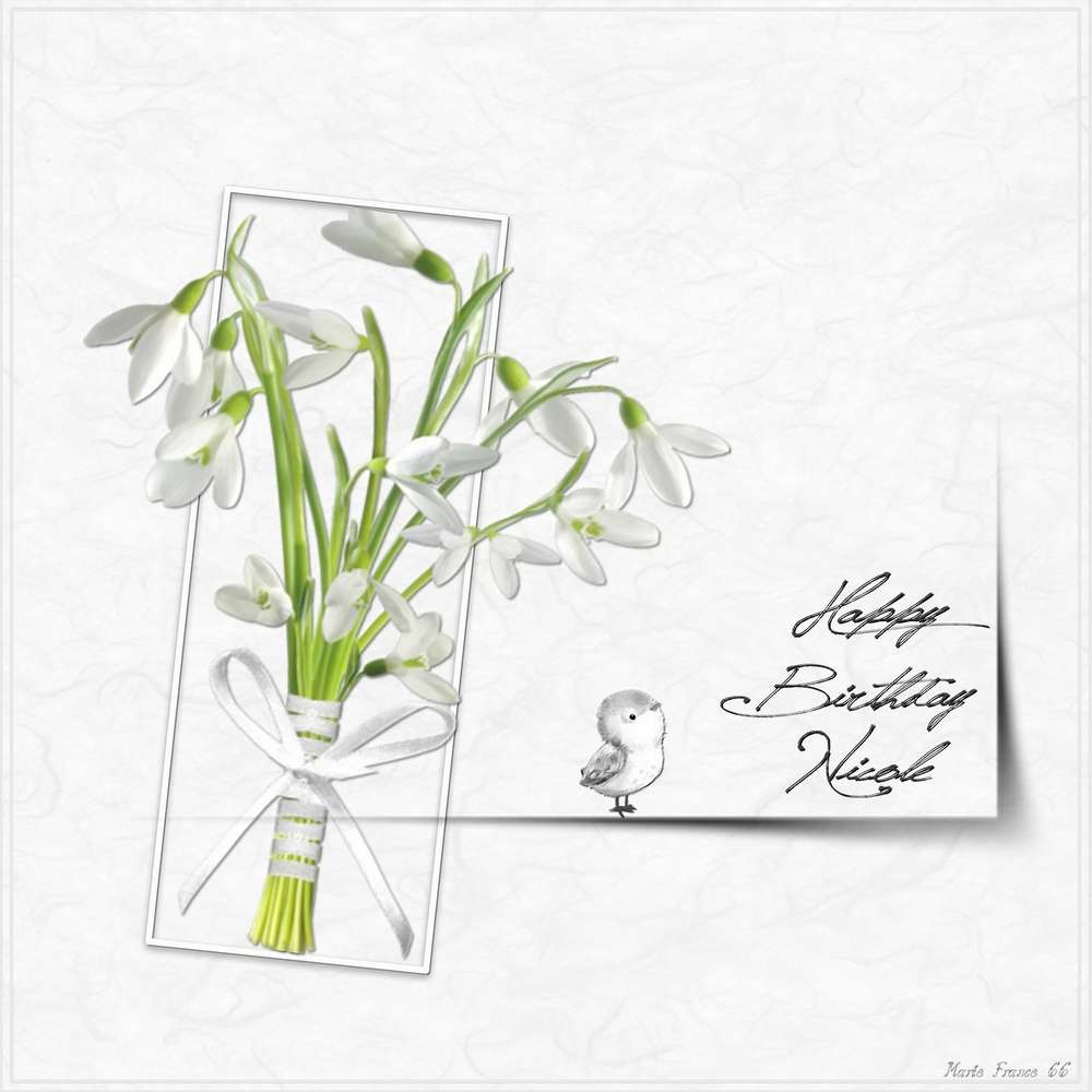 JOYEUX ANNIVERSAIRE CYANNE