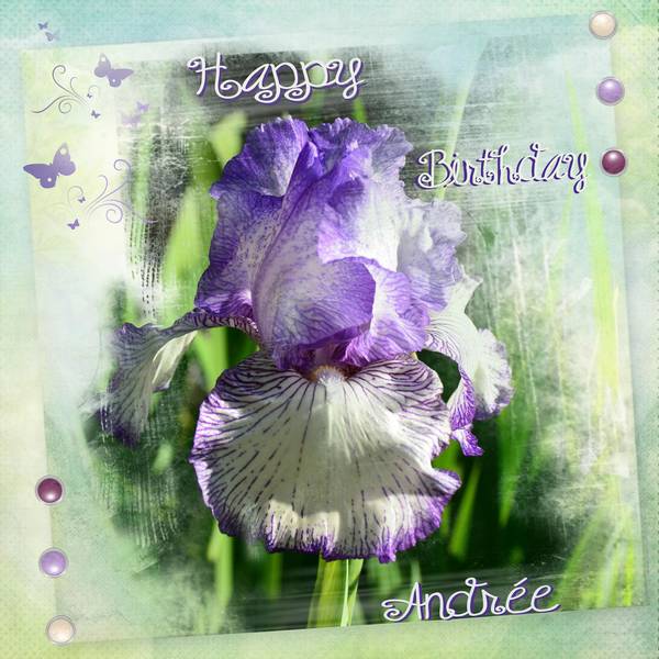 Joyeux anniversaire D.D.