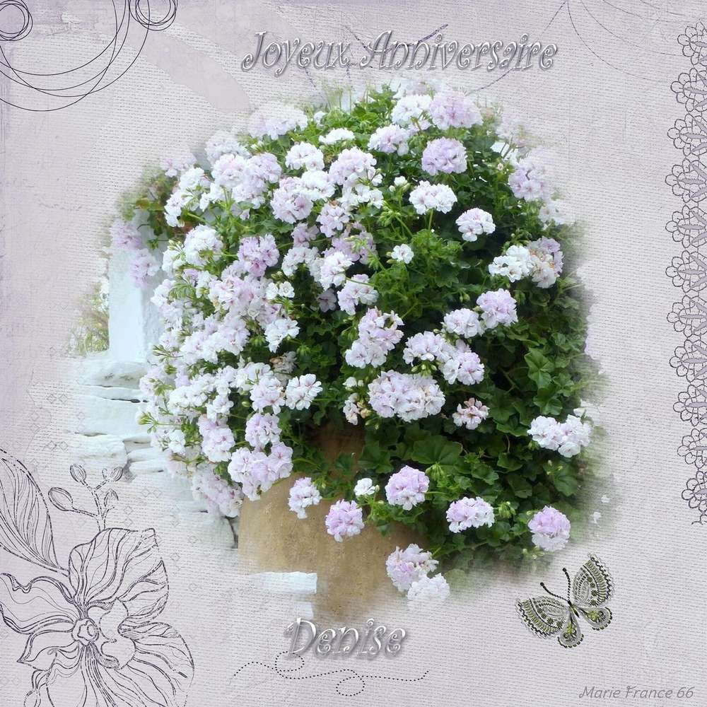 Joyeux anniversaire Denise