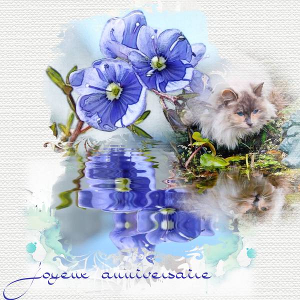 Joyeux anniversaire Eurydice...