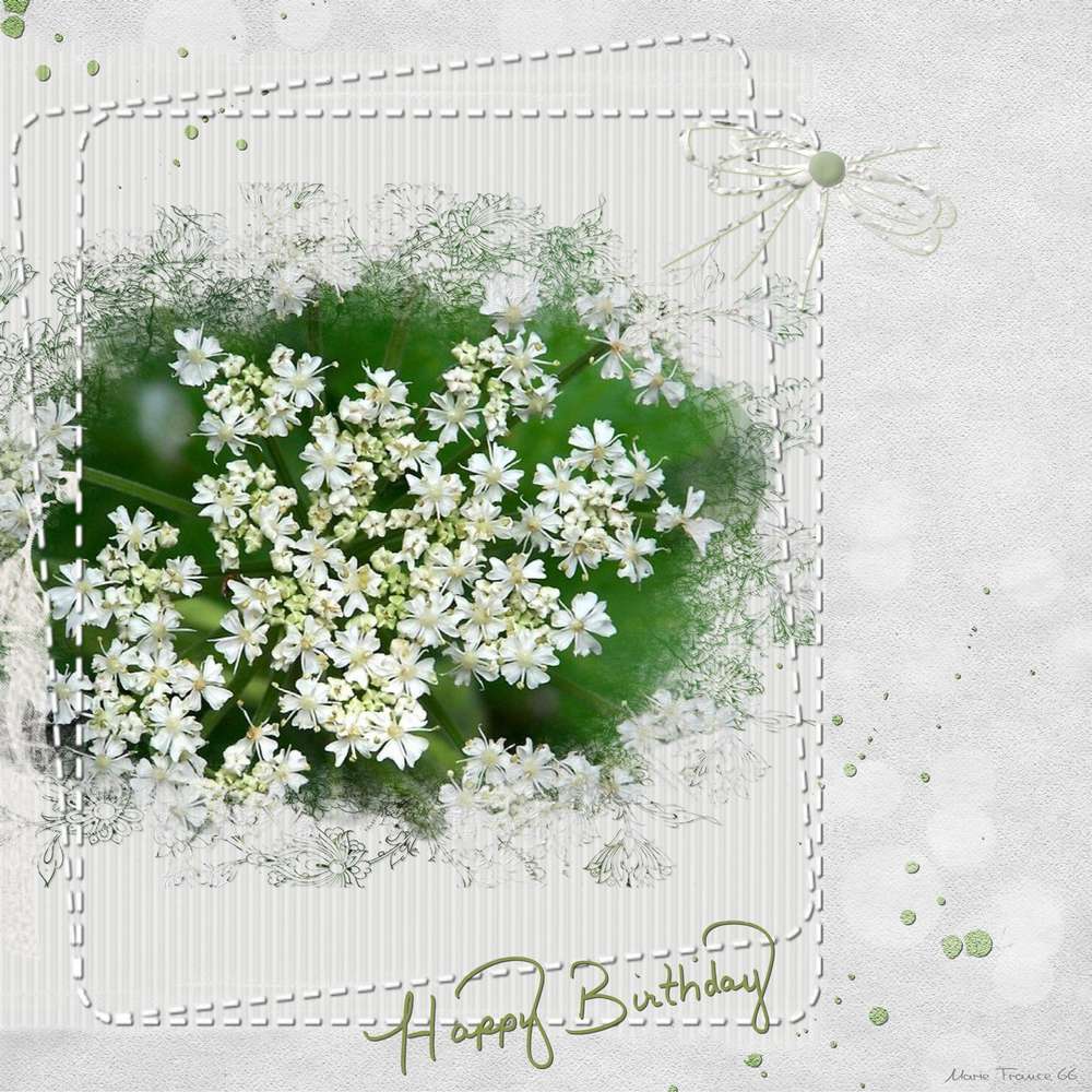 JOYEUX ANNIVERSAIRE GIGI