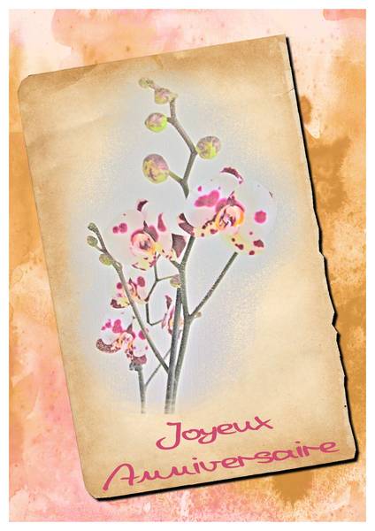 Joyeux anniversaire Karine