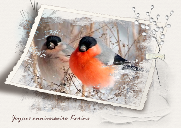 joyeux anniversaire Karine