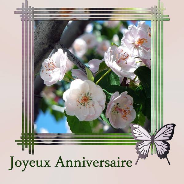 Joyeux Anniversaire Lutka Genevieve Forum Le Monde Du Scrap