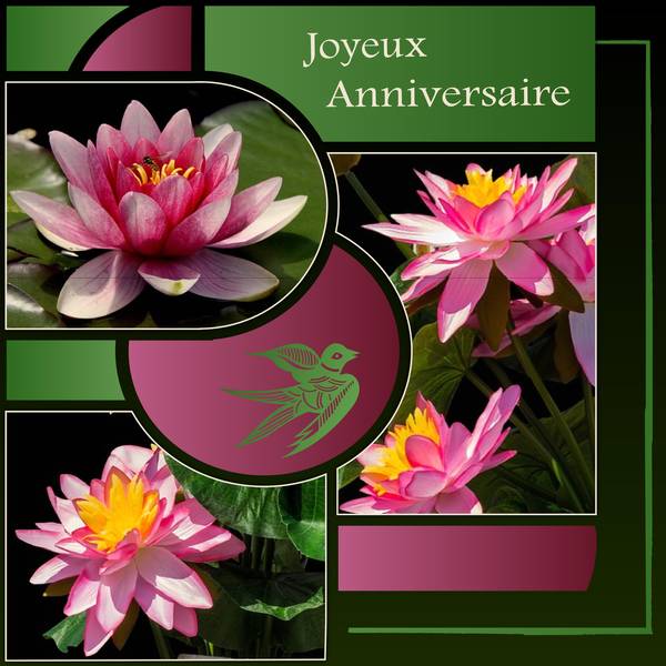 JOYEUX ANNIVERSAIRE  MALOU