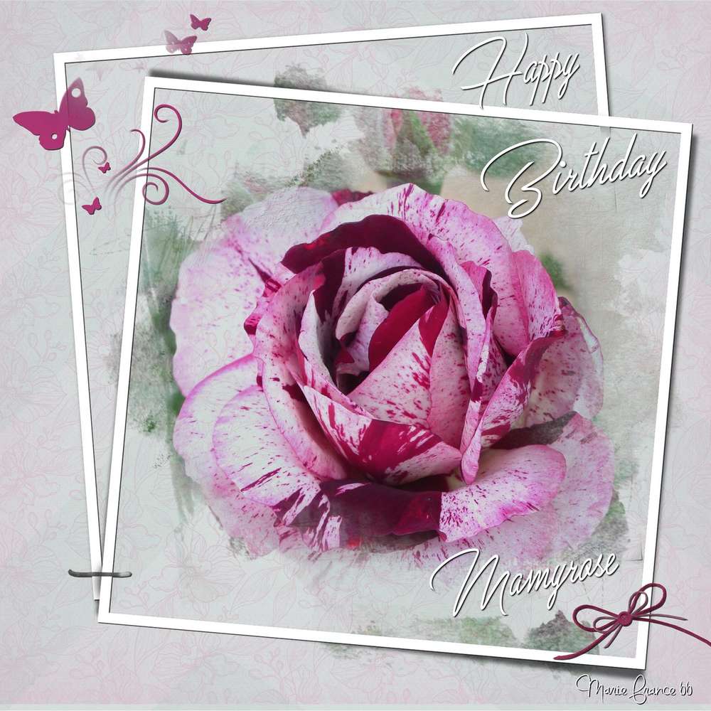 JOYEUX ANNIVERSAIRE MAMYROSE