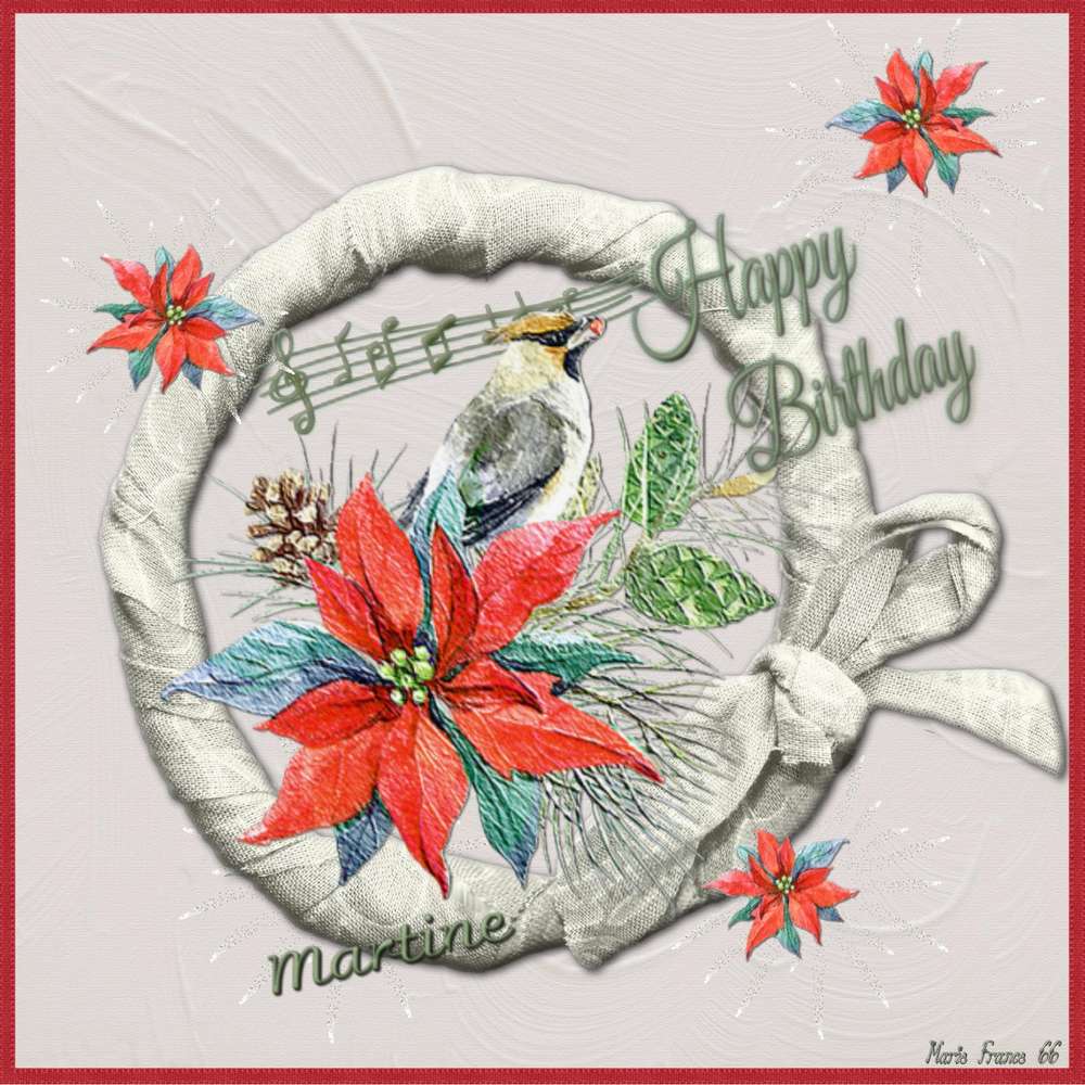 Joyeux Anniversaire Martinas