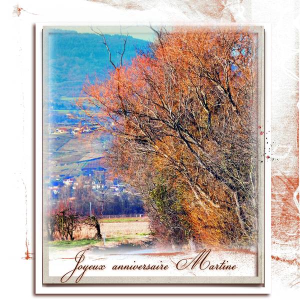 Joyeux anniversaire Martine