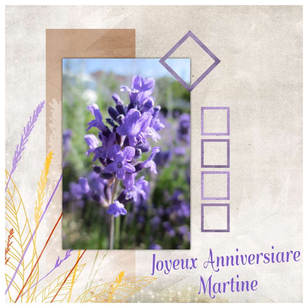 Joyeux Anniversaire Martine