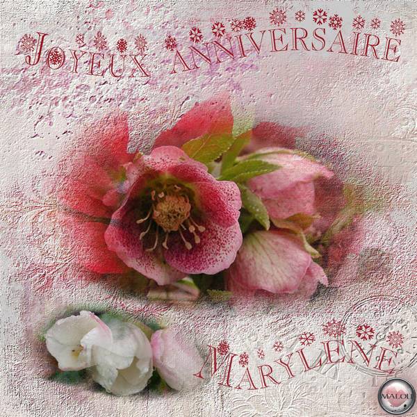 Joyeux anniversaire Marylène