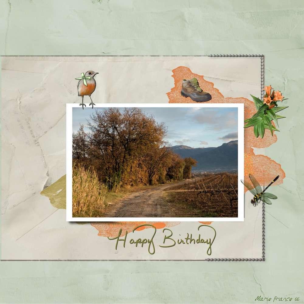 Joyeux Anniversaire Max