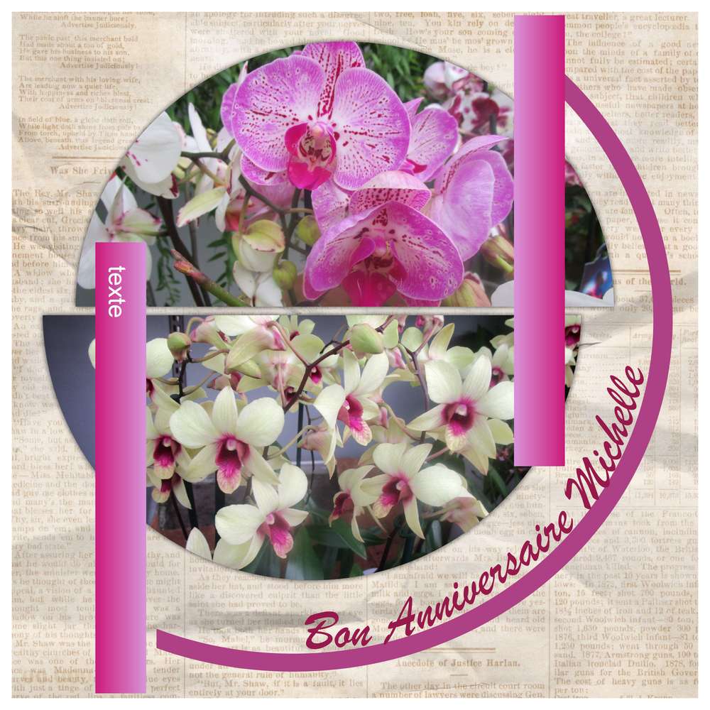 Joyeux Anniversaire Michelle