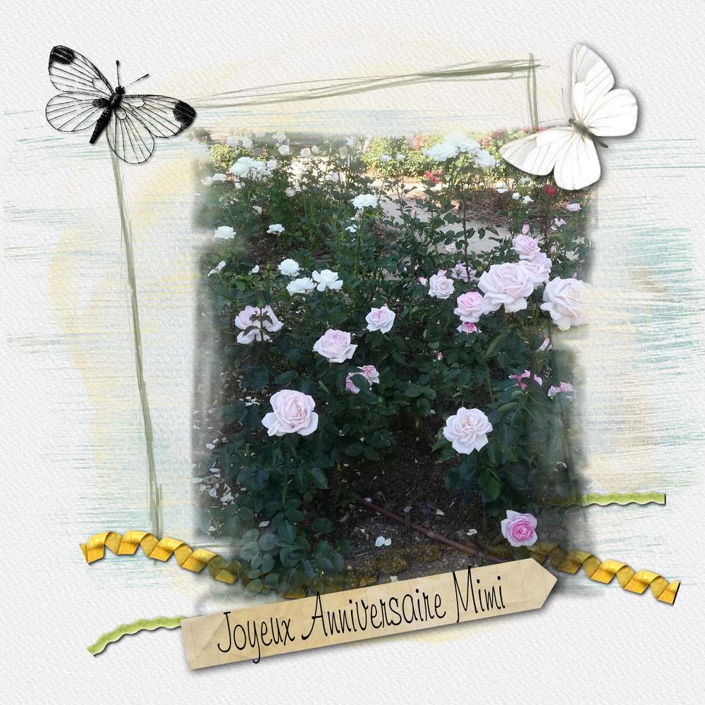 joyeux anniversaire mimi