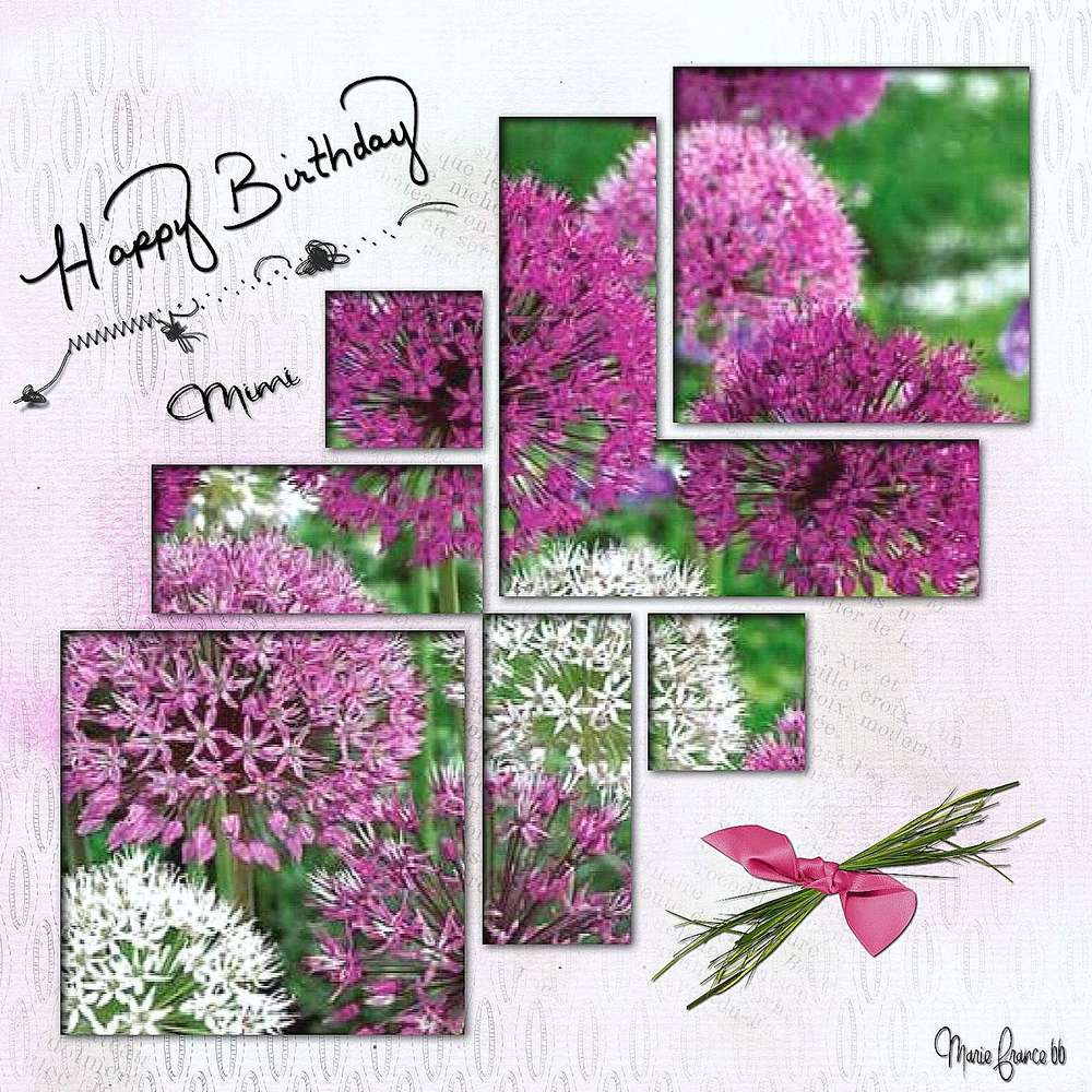 JOYEUX ANNIVERSAIRE MIMI