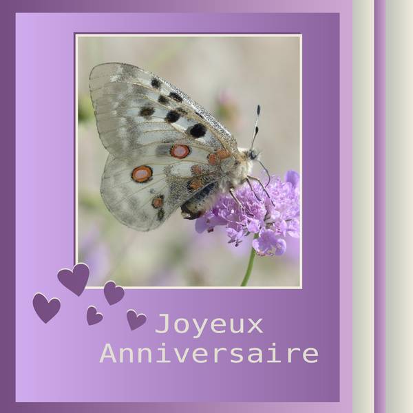 JOYEUX ANNIVERSAIRE MISTINGUETTE - MARTINE