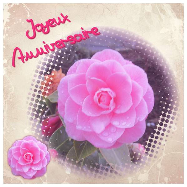 Joyeux anniversaire Mistinguette