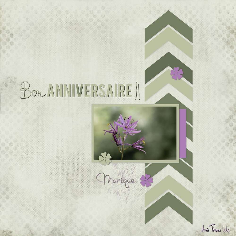 Joyeux Anniversaire Monque  MO77MO