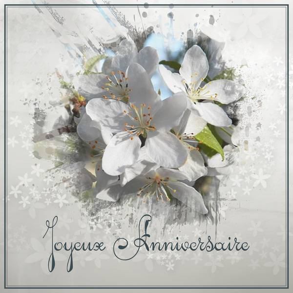 JOYEUX ANNIVERSAIRE - PAPILLON--LILIANE