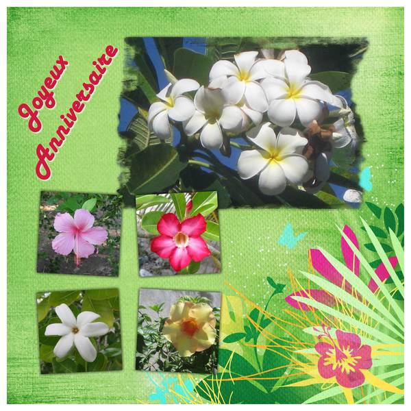 Joyeux Anniversaire Papillon