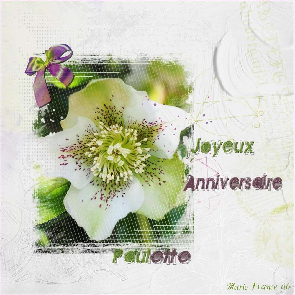 JOYEUX ANNIVERSAIRE PAULETTE