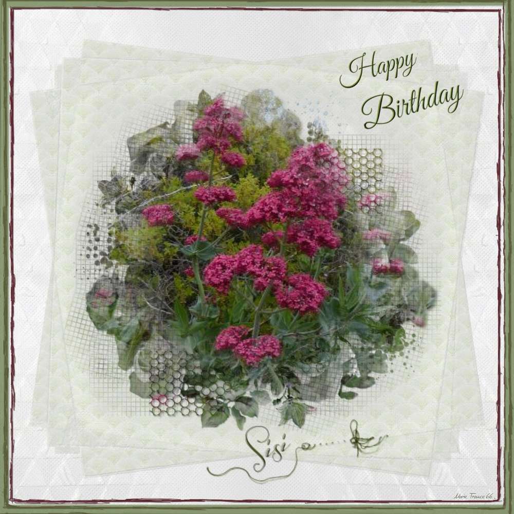 JOYEUX ANNIVERSAIRE SISI