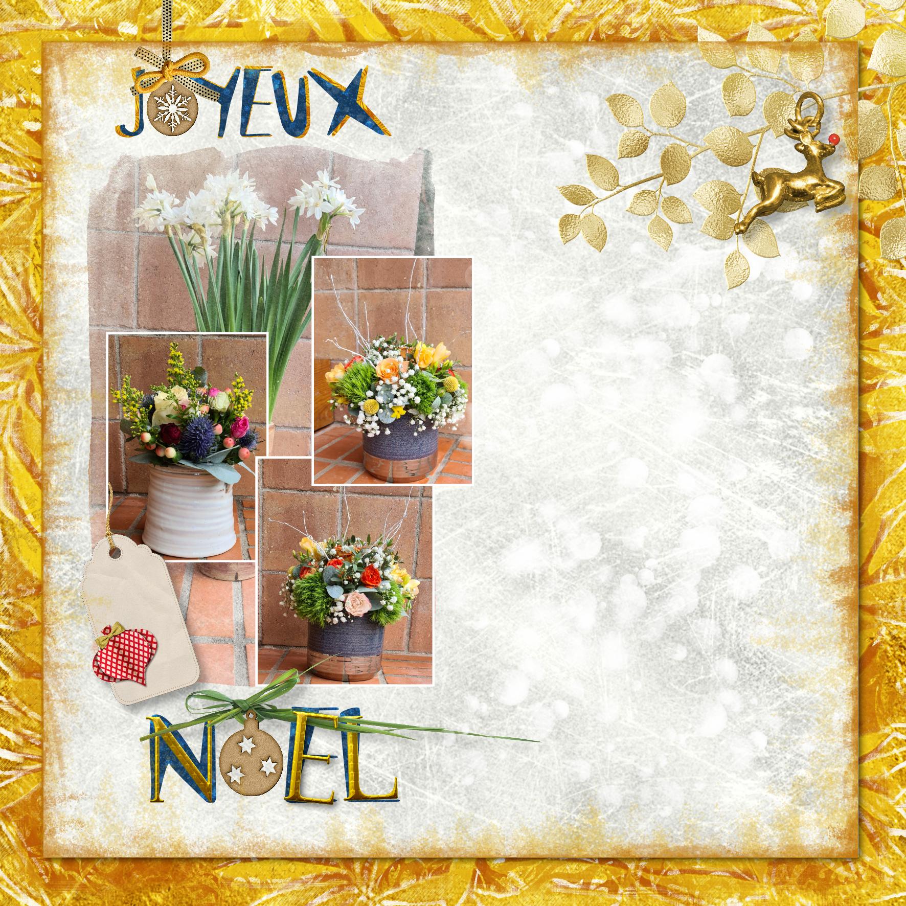 joyeux noel 2022.jpg