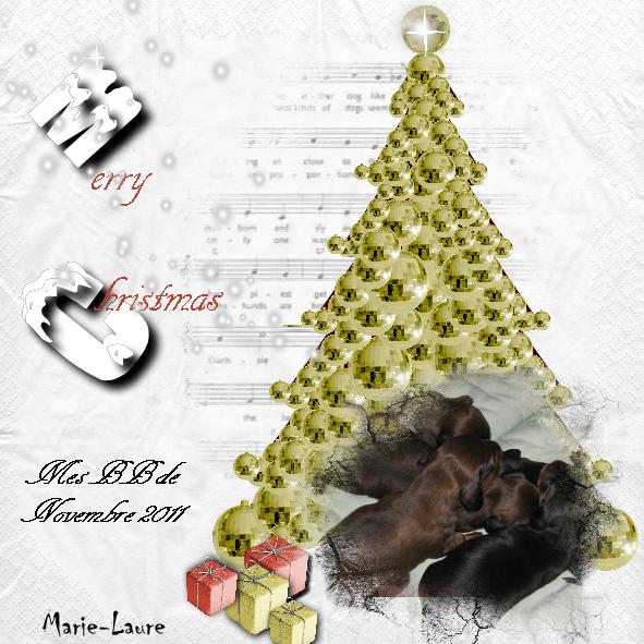 Joyeux Noël à vous tous amis du Scrap