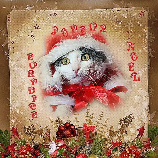 Joyeux Noël EURYDICE