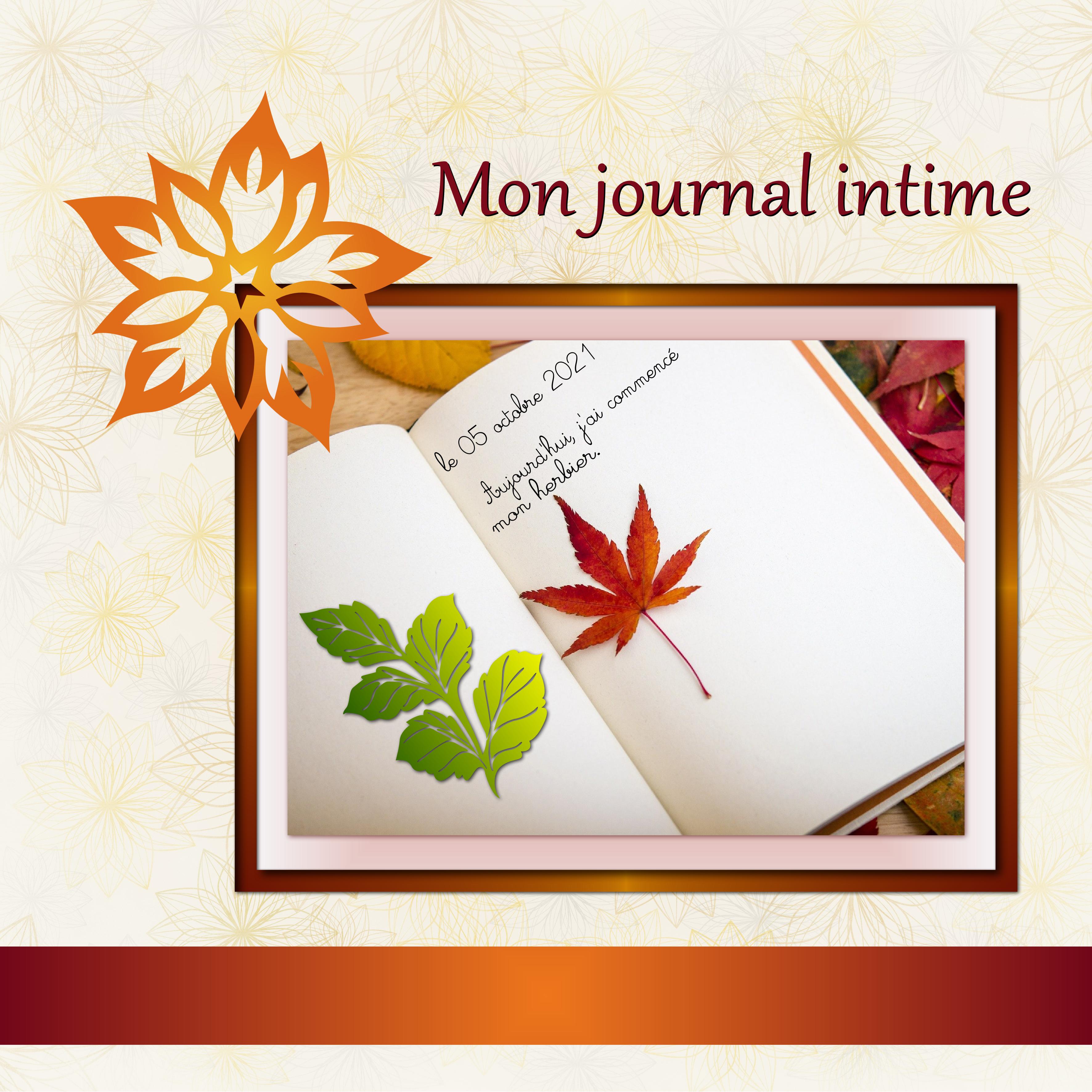 Js10 - MON JOURNAL INTIME.jpg