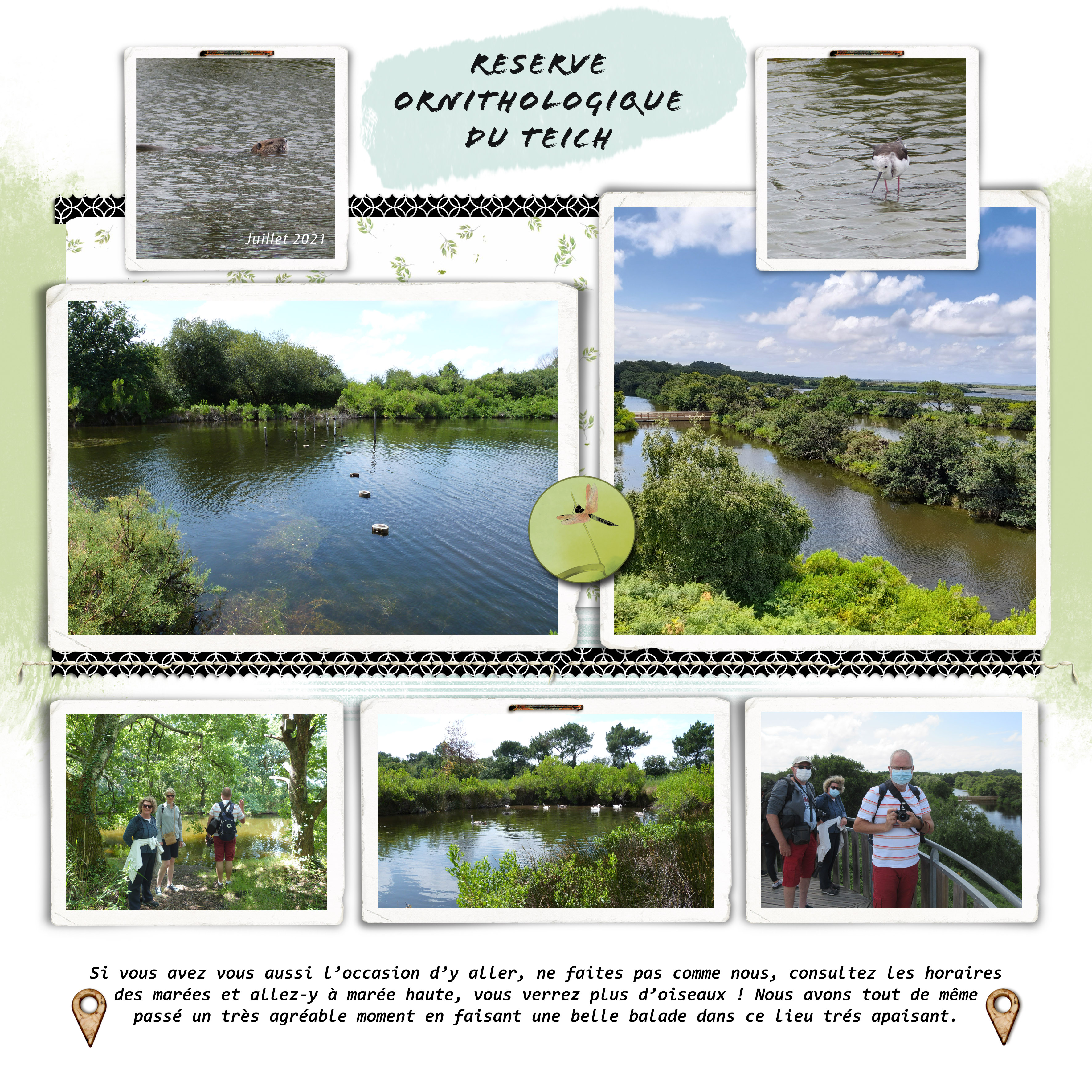 juillet 2021 bassin d'Arcachon ter.jpg