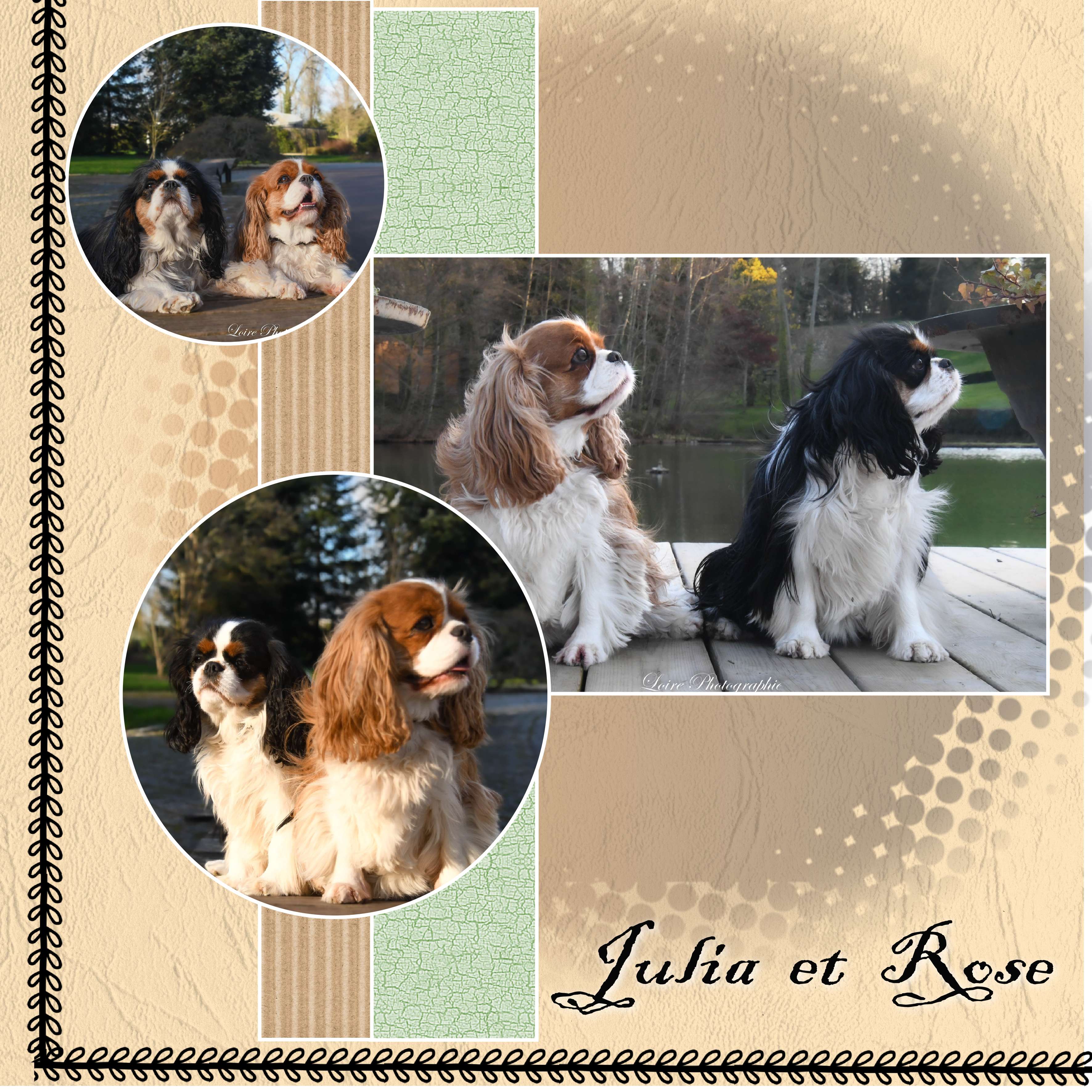 julia   et  rose.jpg