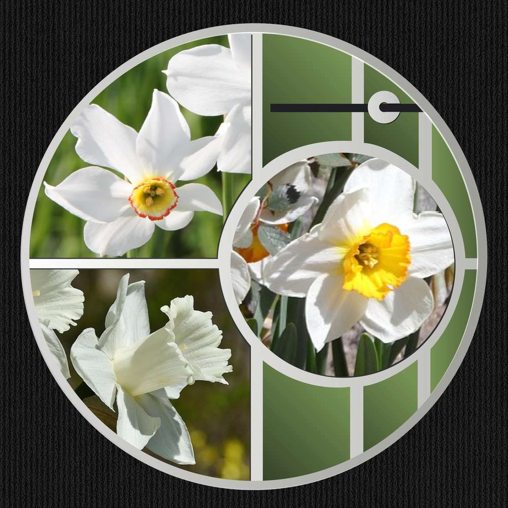 JULIELLECLIC - JOYEUX ANNIVERSAIRE