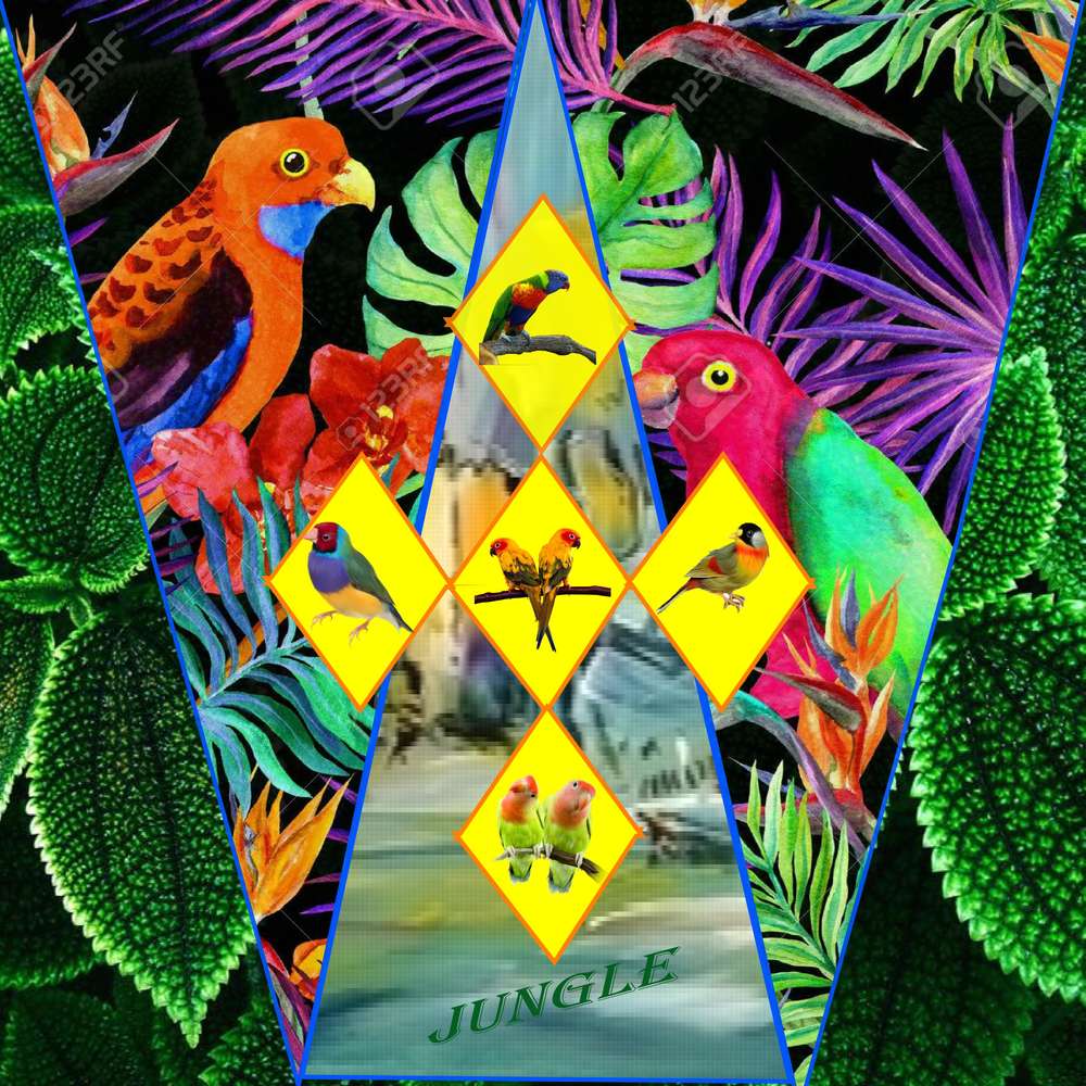 Jungle_vue_par_Jeannine