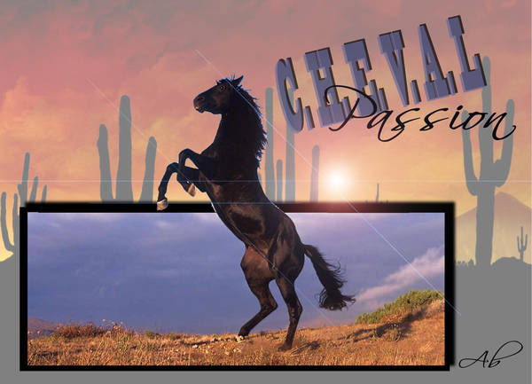 Juste pour le plaisir de voir ce si bel animal !!!