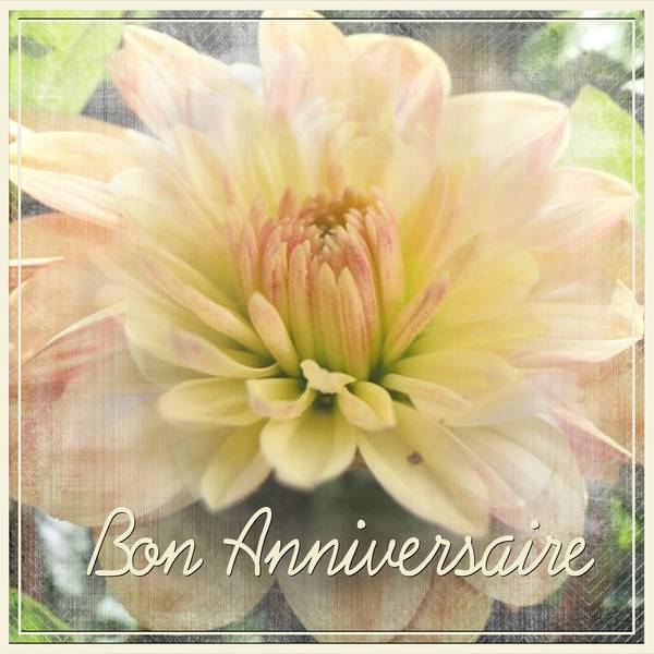 KALY - BON ANNIVERSAIRE