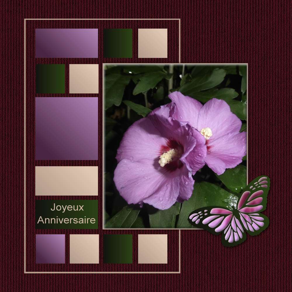 KINOULILINE  (KARINE) - JOYEUX ANNIVERSAIRE