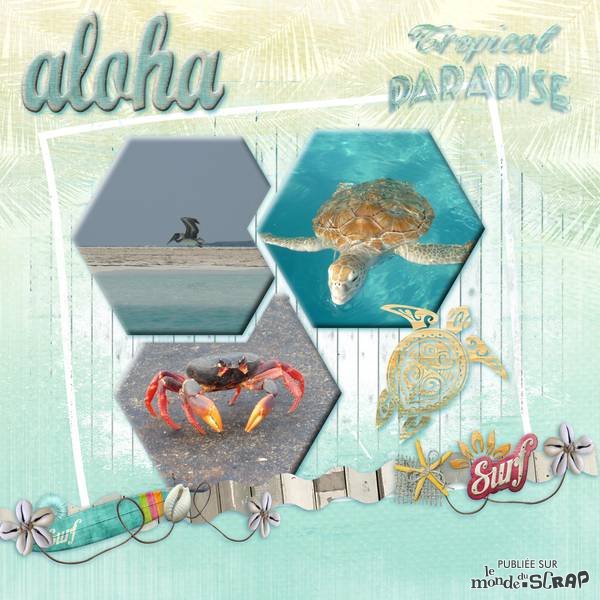 Kit aloha style