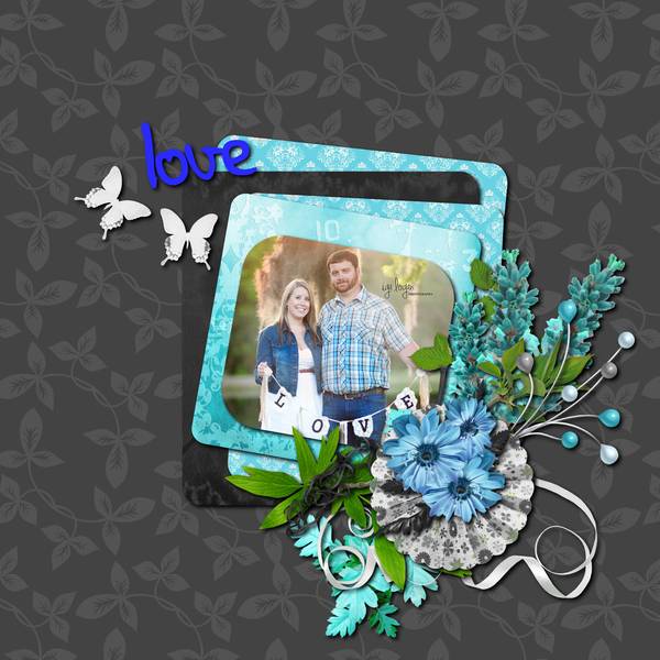 Kit de Desclics &amp;quot;concerto in the night&amp;quot;