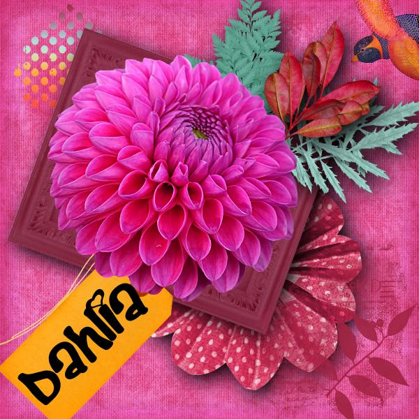 kit de Desclics -Fruity Sunshine-