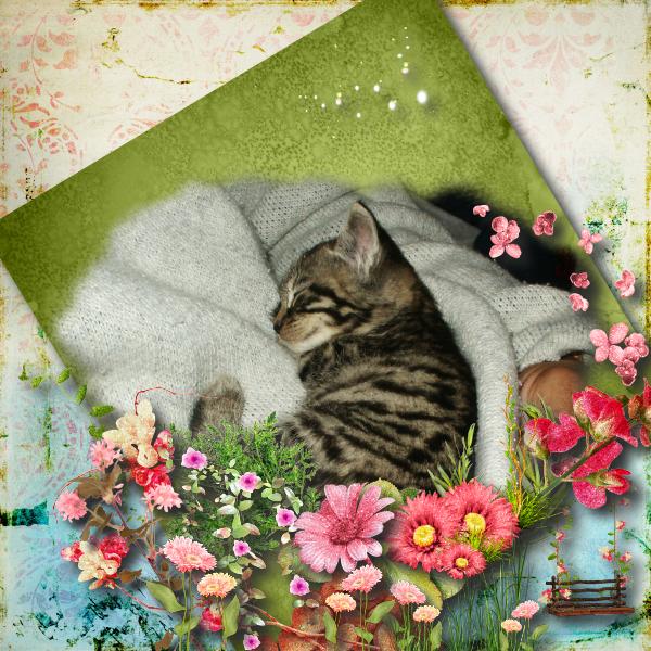 Kit de Kastagnette &amp;quot;Fairy Tale&amp;quot;