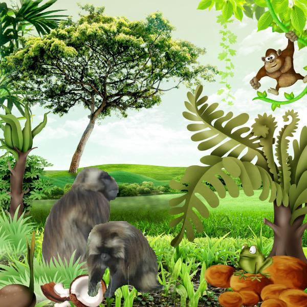 kit de Kastagnette - Crazy Safari